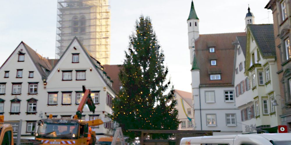 Weihnachtsbaum auf dem Marktplatz.